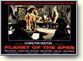 Buy the Planet of the Apes Poster